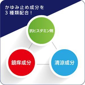 水虫・たむしによく効く水虫薬の液タイプ 第一三共ヘルスケア 【送料無料】ピロエースZ液 15mL【指定第2類医薬品】 ※セルフメディケーション税制対象商品