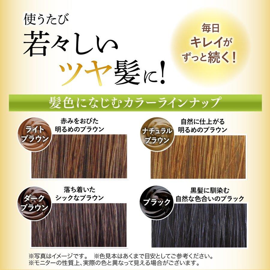 トリートメントで白髪染め自然派 ジアミン・パラペン・鉱物油無添加 RISHIRI HAIR CORORING TREATMENT 簡単白髪染め 【送料無料】利尻ヘアカラートリートメント ダークブラウン 200g ピュール